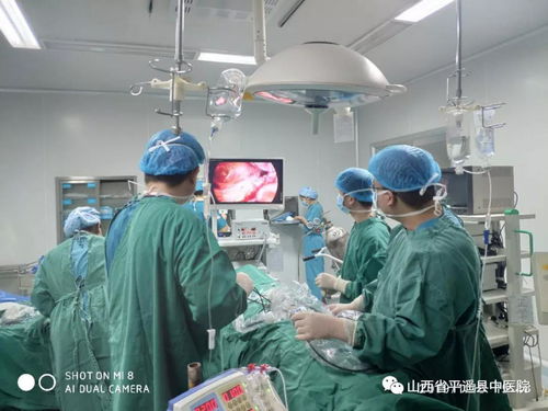 以技術(shù)創(chuàng)新與用心服務(wù) 推動醫(yī)院高質(zhì)量發(fā)展 信息技術(shù)咨詢的價(jià)值與實(shí)踐