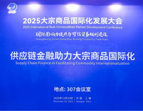 供應(yīng)鏈金融賦能大宗商品國際化 2025年大會平行活動聚焦信息技術(shù)咨詢服務(wù)
